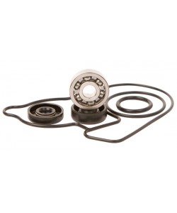 KIT REVISIONE POMPA ACQUA HOT RODS