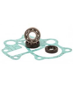 KIT REVISIONE POMPA ACQUA HOT RODS