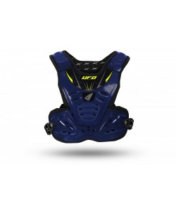 PETTORINA REACTOR 2 EVOLUTION