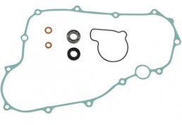 Kit Revisione Pompa Acqua