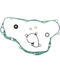 Kit Revisione Pompa Acqua