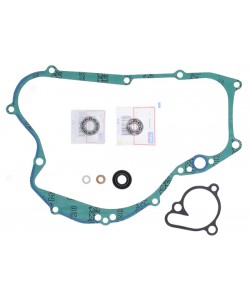Kit Revisione Pompa Acqua