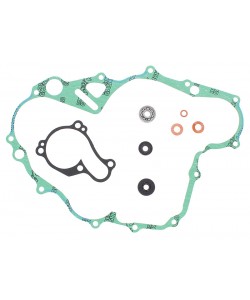 Kit Revisione Pompa Acqua