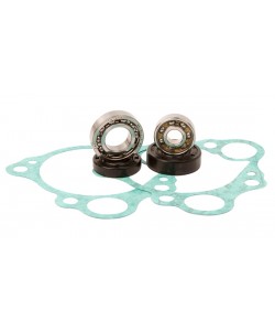 kit revisione pompa acqua Hot Rods