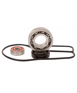 kit revisione pompa acqua Hot Rods