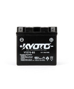 Batteria 12 V / 6 Ah  113 X 70 X 105 Mm