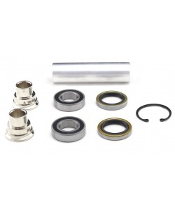 Kit Revisione Mozzo Ruota Bearingworx