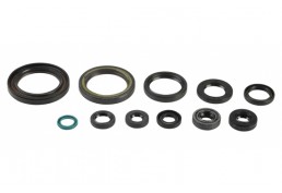 Serie Paraoli Motore
