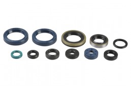 Serie Paraoli Motore