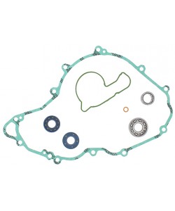 Kit Revisione Pompa Acqua