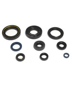Serie Paraoli Motore