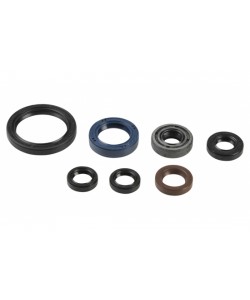 Serie Paraoli Motore