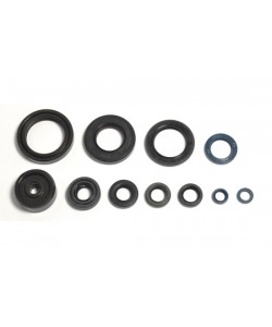 Serie Paraoli Motore