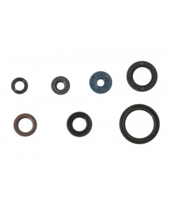 Serie Paraoli Motore