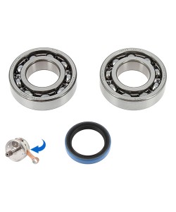 Kit Cuscinetti Albero Motore E Paraoli