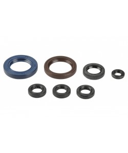 Serie Paraoli Motore