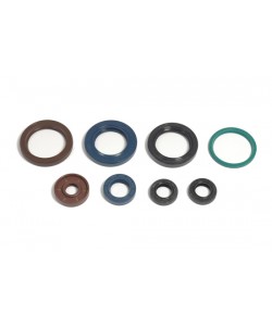 Serie Paraoli Motore